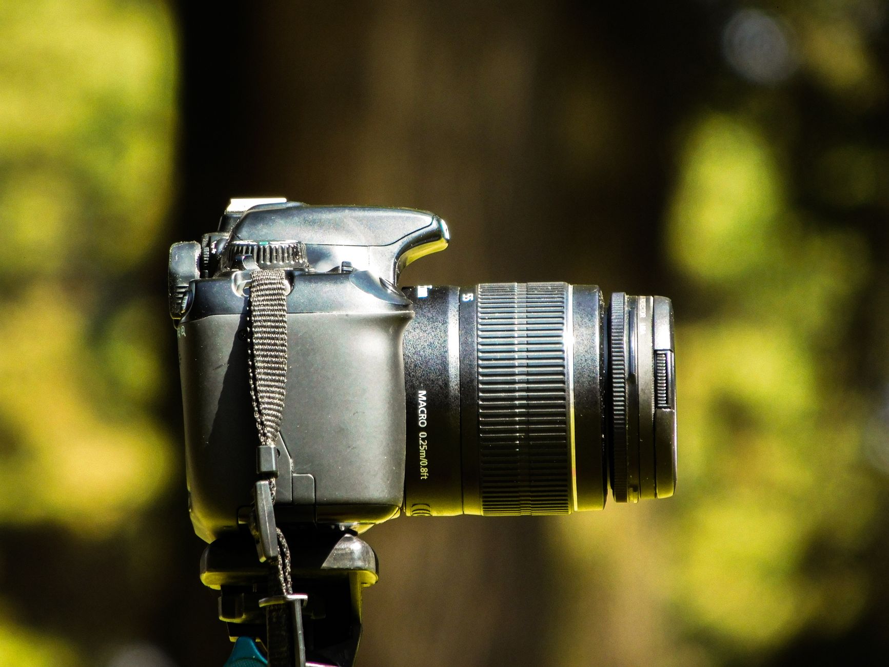 Nikon Z9