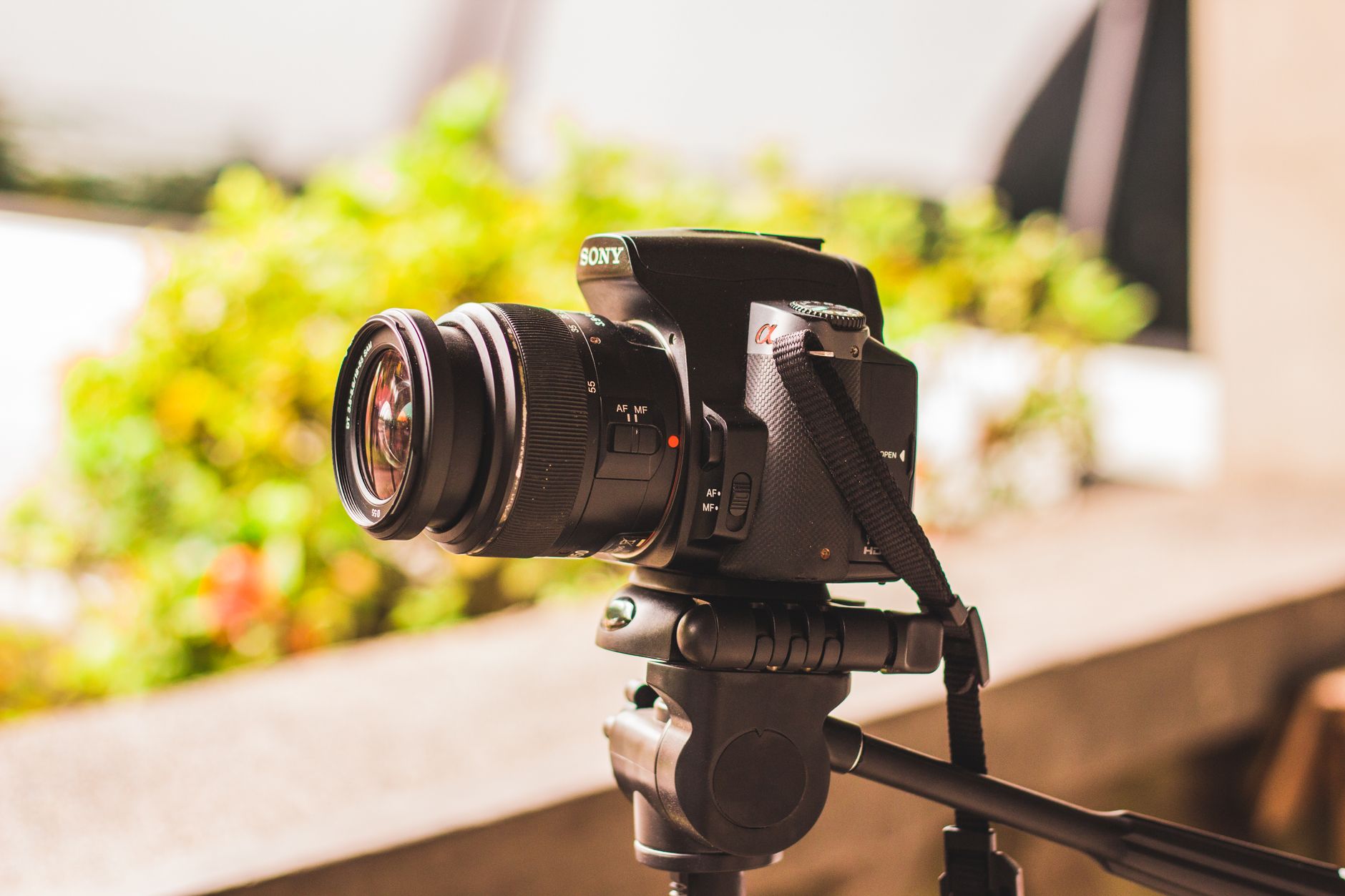 OM SYSTEM OM-1 Mark II