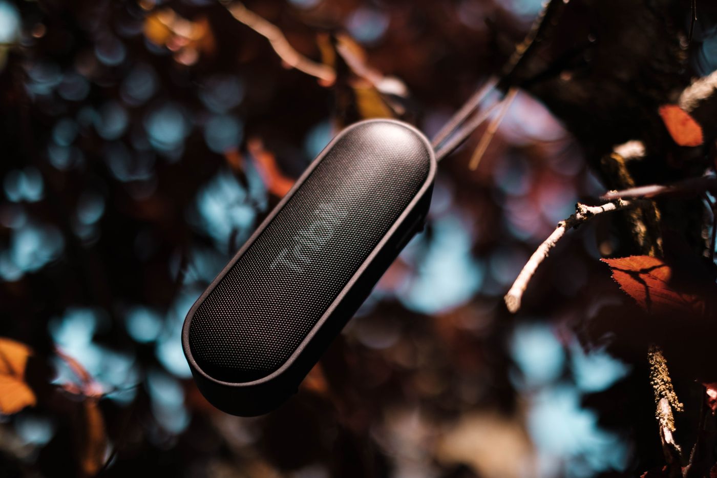 Bowers & Wilkins Zeppelin